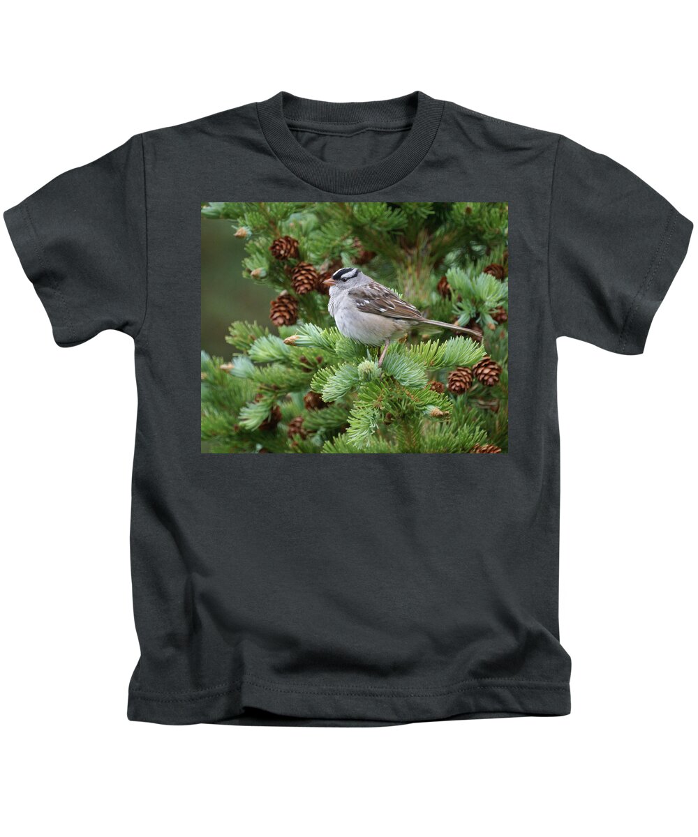 Chickadee Kids T-Shirt featuring the photograph Chickadee by Heather Coen