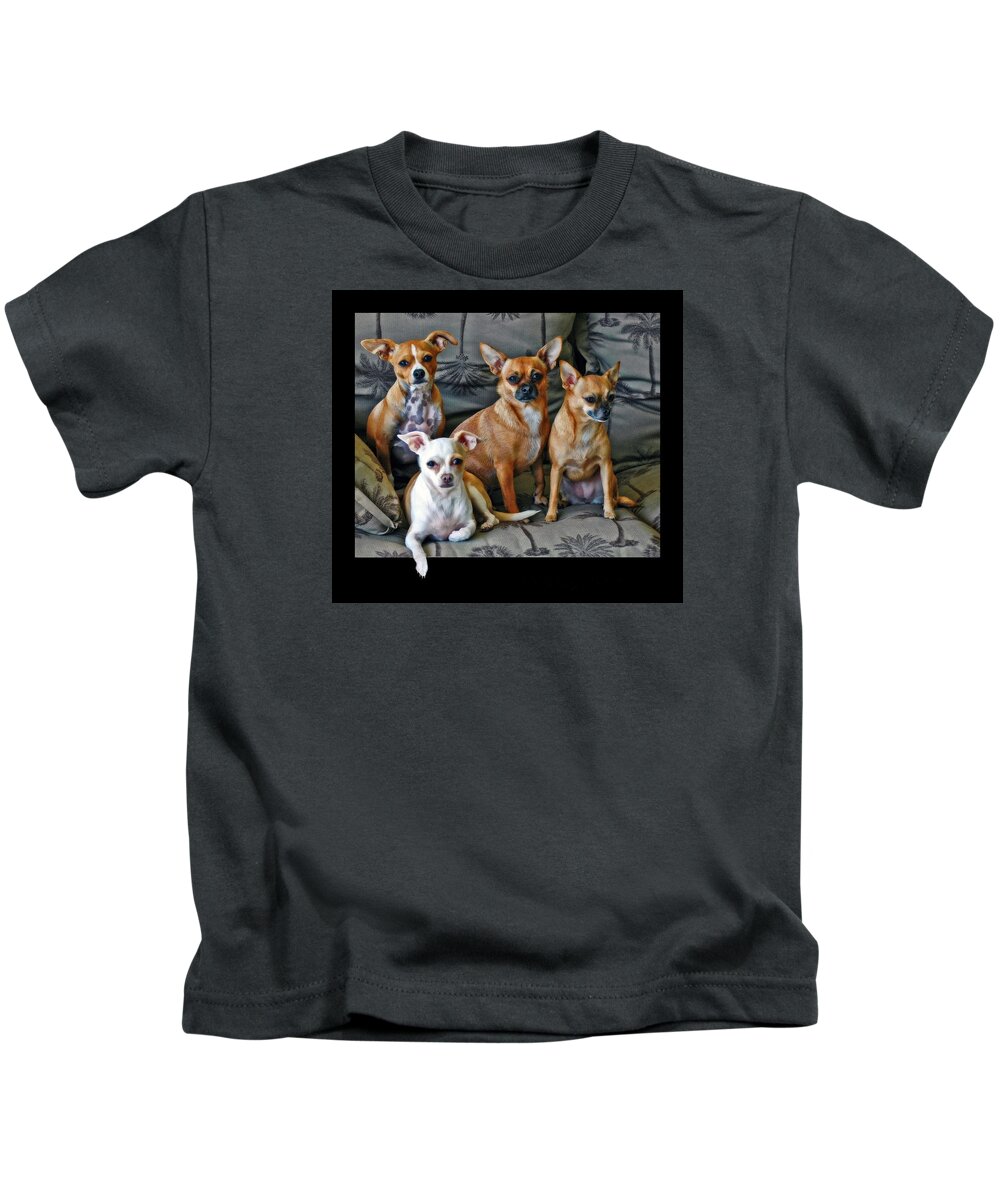 Chihuahuas Kids T-Shirt featuring the photograph Chihuahuas Hanging Out by Ginger Wakem