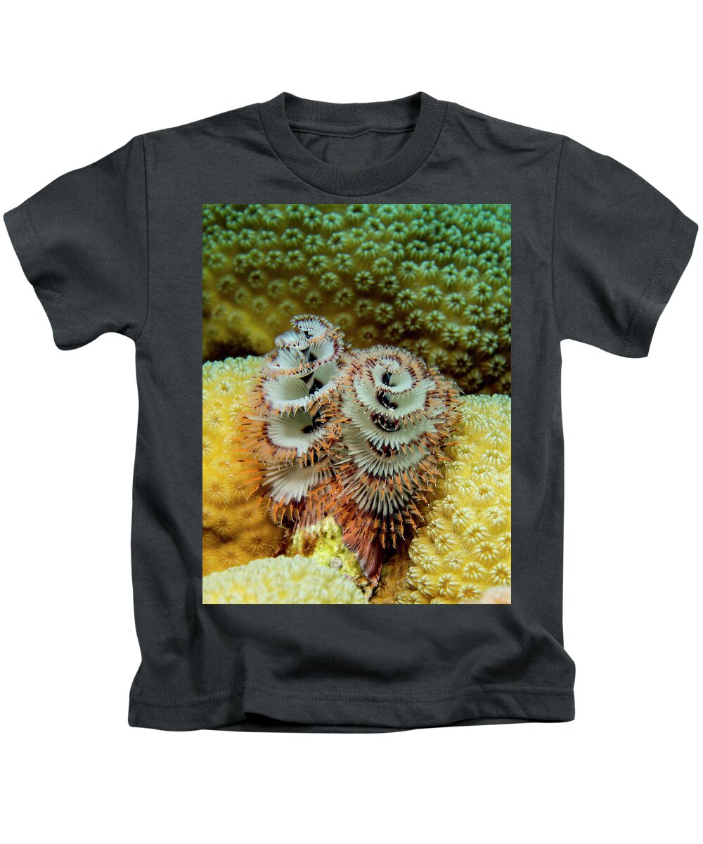 Bonaire Kids T-Shirt featuring the photograph Christmas Tree Worms by Jean Noren