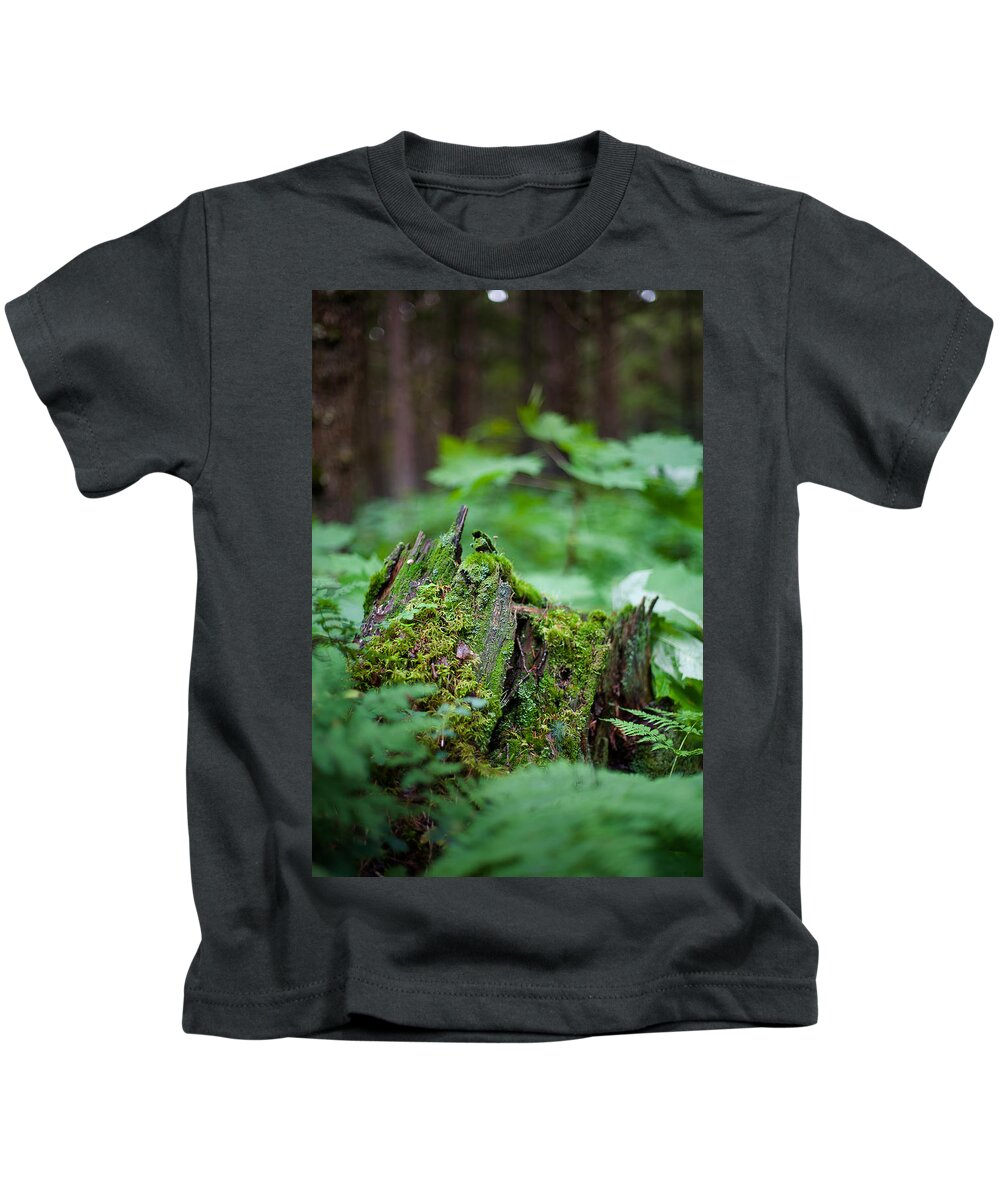 Alaska Kids T-Shirt featuring the photograph Chugach National Forest by Scott Slone