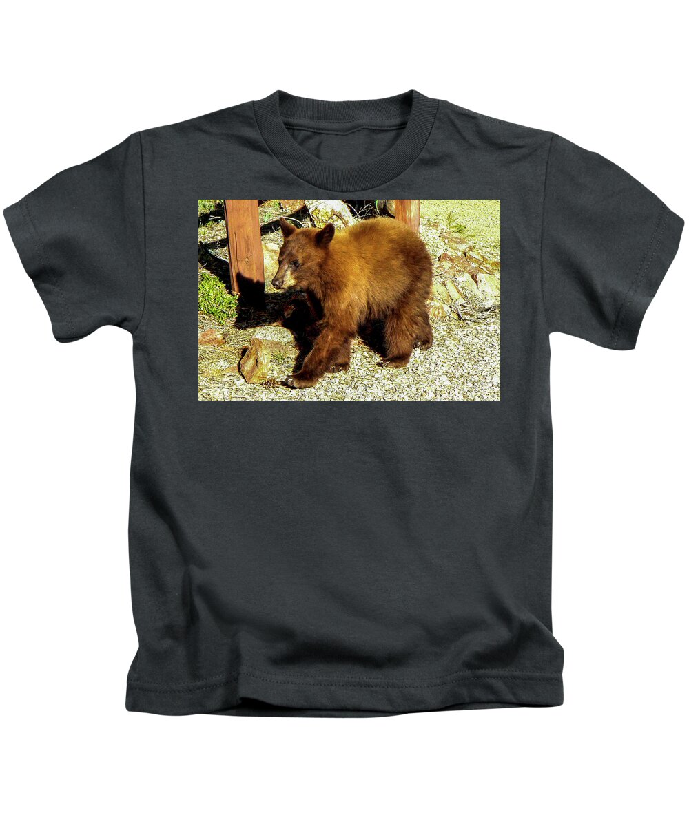Colorado Kids T-Shirt featuring the photograph Cinnamon Black Bear by Marilyn Burton