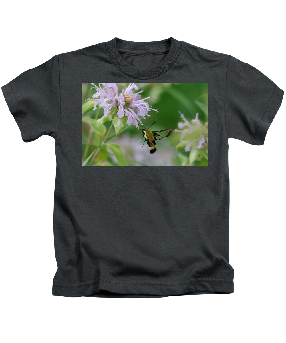 Clear Wing Moth Kids T-Shirt featuring the photograph Clearwing moth #1 by Peter Ponzio
