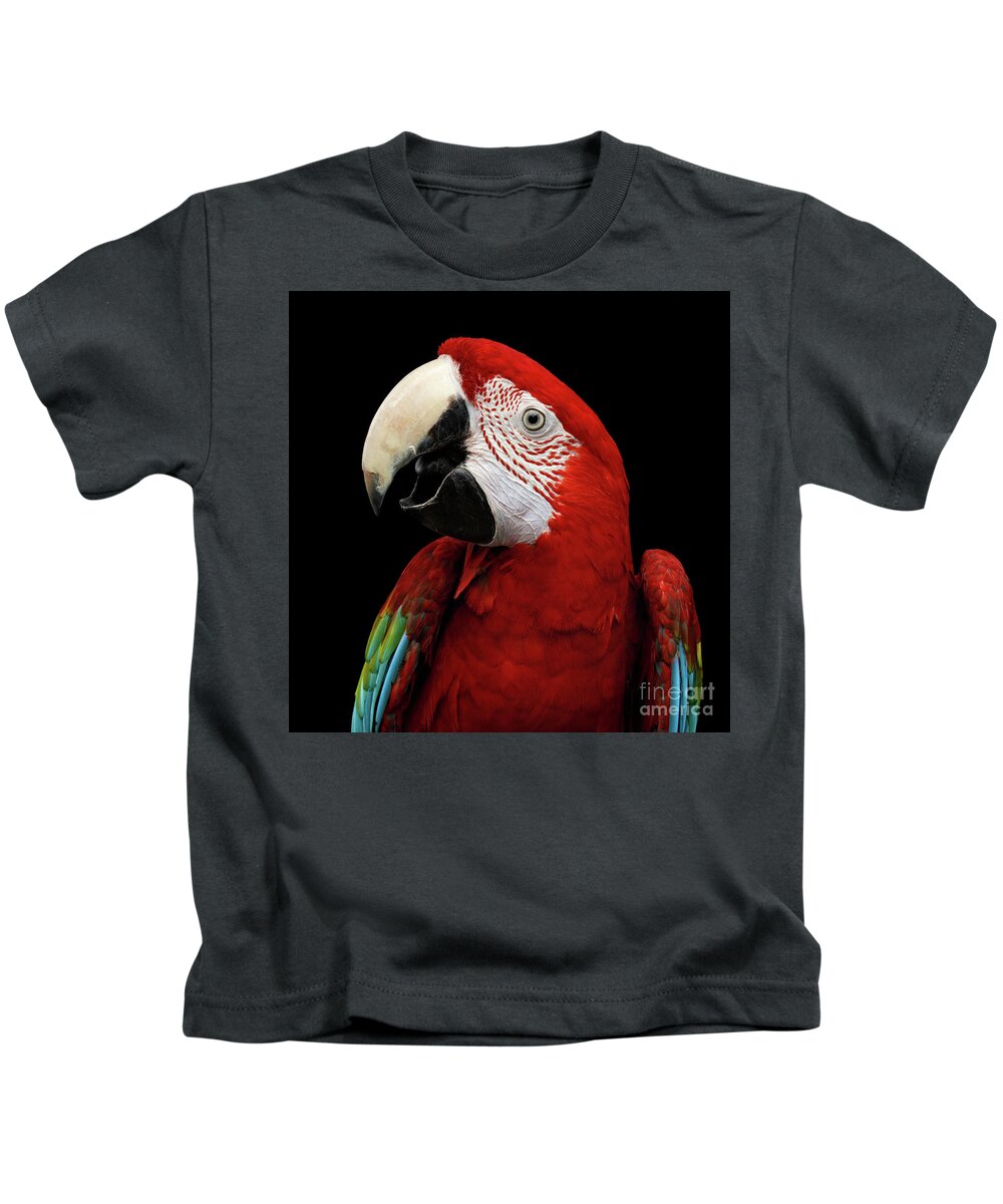 Macaw Kids T-Shirt featuring the photograph Green-winged macaw by Sergey Taran
