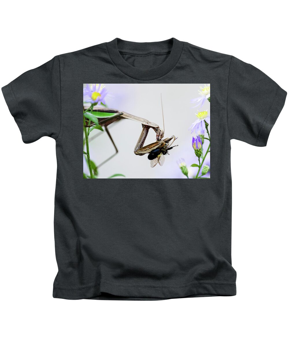 Tenodera Sinensis Kids T-Shirt featuring the photograph Color Mantis by Todd Bannor