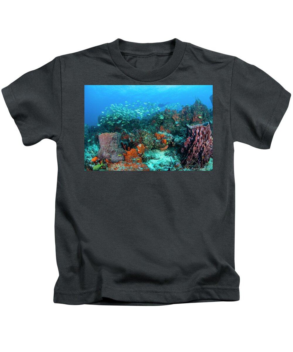 Scene.scenes Kids T-Shirt featuring the photograph Color Of Life by Sandra Edwards