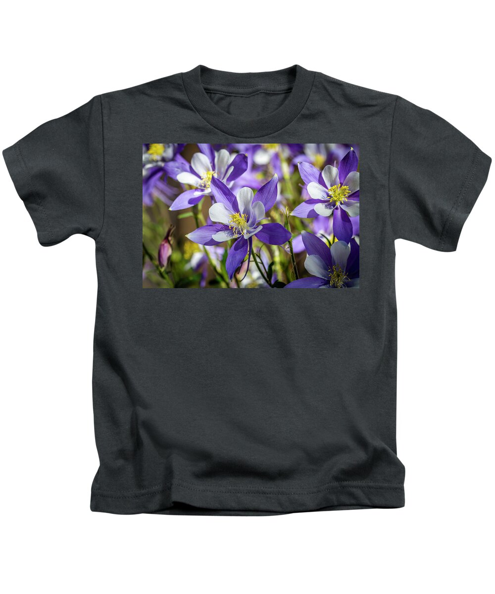 Colorado Kids T-Shirt featuring the photograph Colorado State Flower Blue Columbines by Teri Virbickis