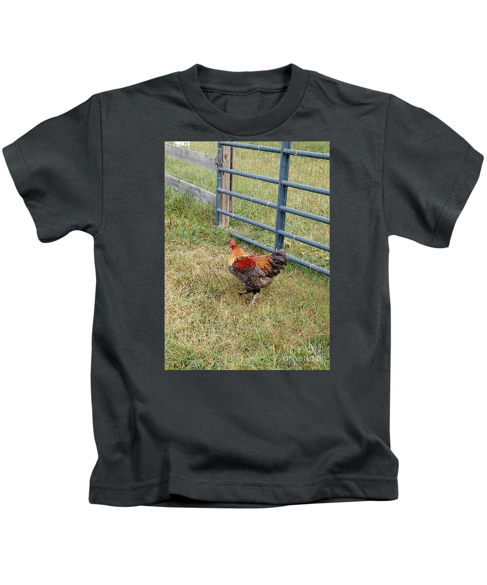 Chicken Kids T-Shirt featuring the photograph Colorful Chicken by Anita Adams
