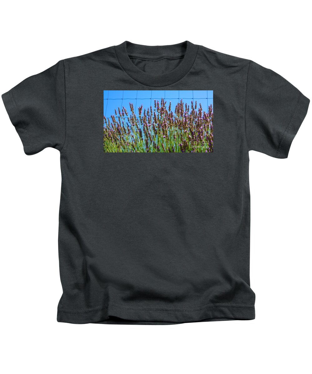 Flowers Kids T-Shirt featuring the photograph Country Lavender III by Shari Warren
