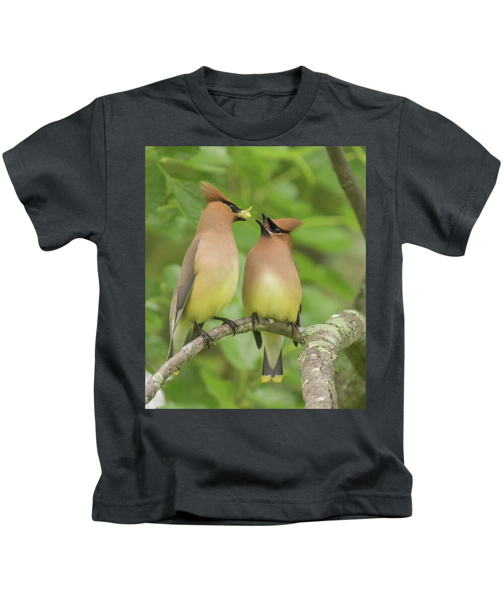 Bird Kids T-Shirt featuring the photograph Courtship Behavior by Jody Partin