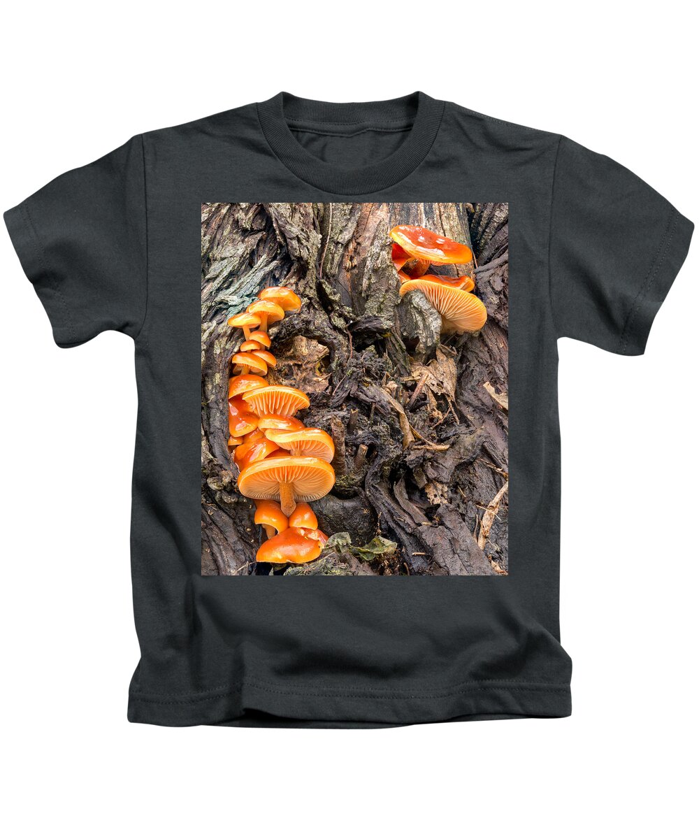 Mushrooms Kids T-Shirt featuring the photograph Crowded Living by Harold Coleman