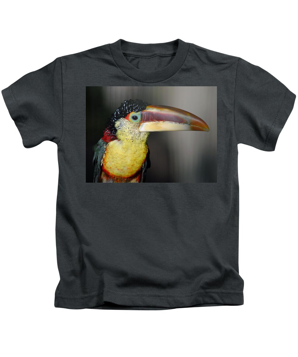 Pteroglossus Beauharnaesii Kids T-Shirt featuring the photograph Curl Crested Aracari Pteroglossus beauharnaesii by Nathan Abbott
