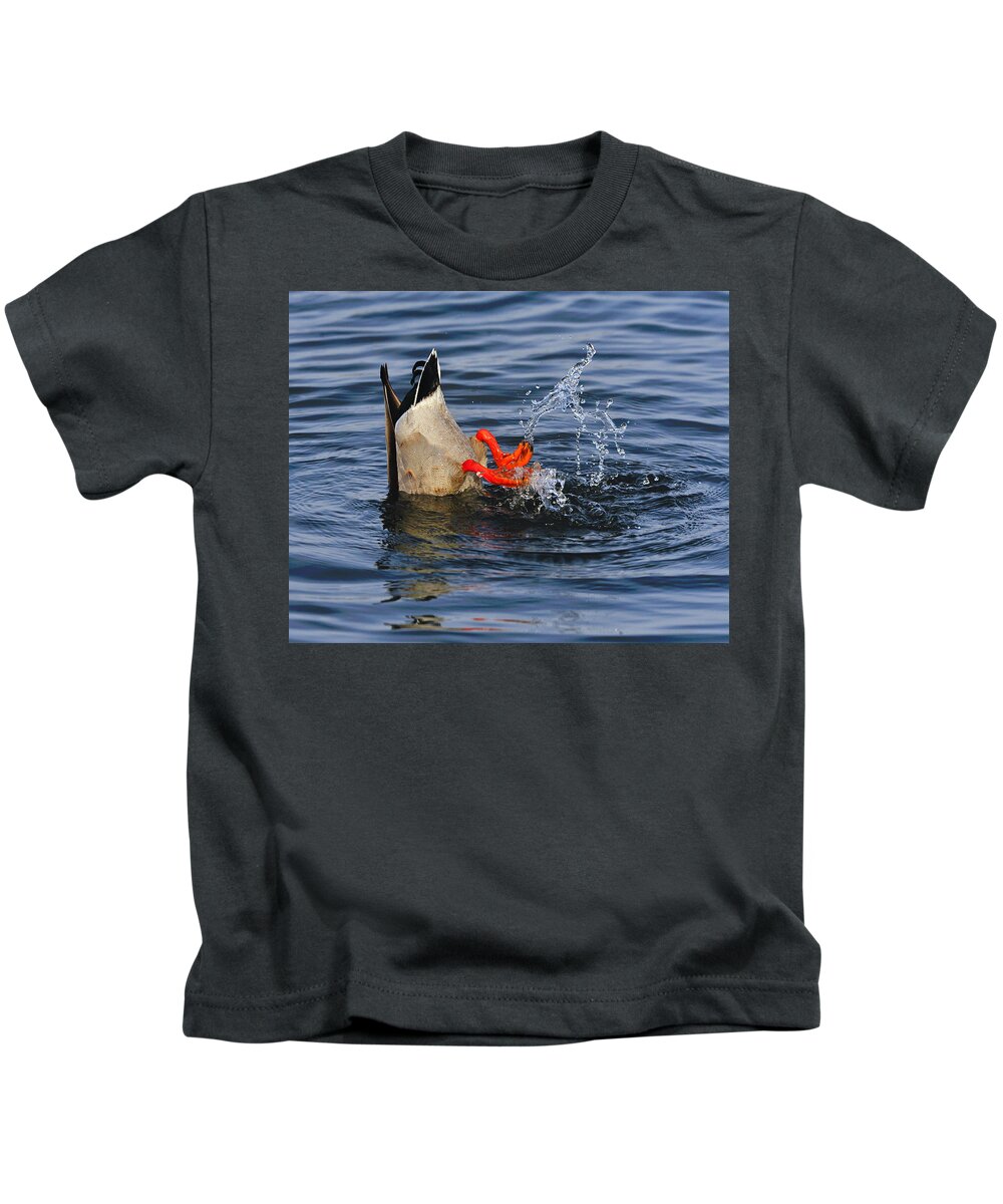 Mallard Kids T-Shirt featuring the photograph Dabbling - Mallard by Tony Beck