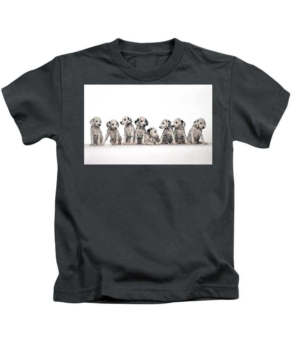 Dalmatian Kids T-Shirt featuring the photograph Dalmatian by Jackie Russo