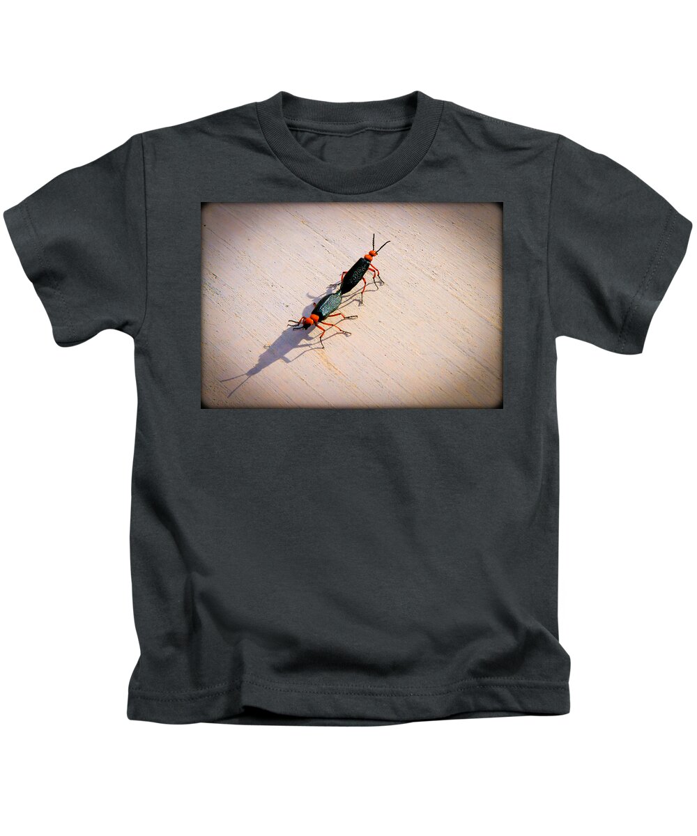 Bonnie Follett Kids T-Shirt featuring the photograph Dance of the Desert Blister Beetles by Bonnie Follett
