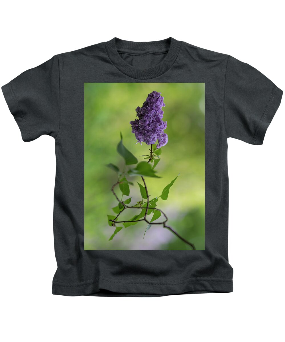 Flower Kids T-Shirt featuring the photograph Dark violet lilac by Jaroslaw Blaminsky