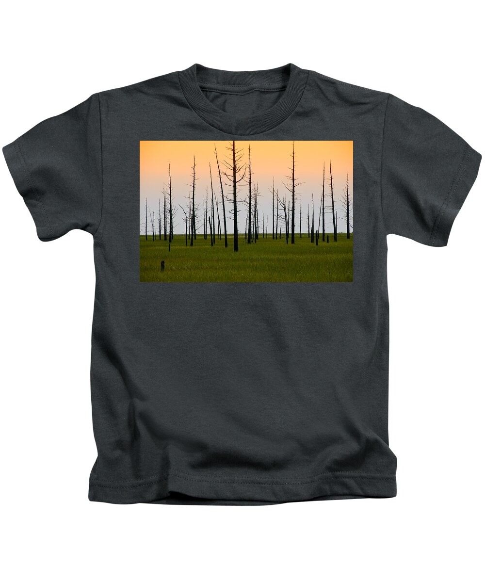 Cedars Kids T-Shirt featuring the photograph Dead Cedars by Louis Dallara
