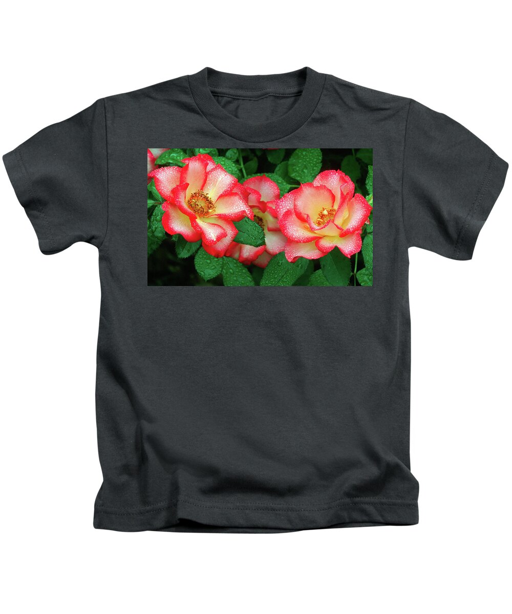 Dewy Roses Kids T-Shirt featuring the photograph Dew-covered Roses by Ram Vasudev