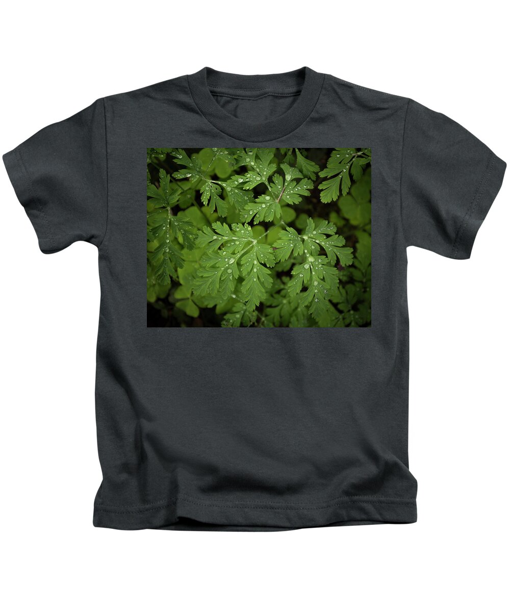 Flora Kids T-Shirt featuring the photograph Dewey Leaves by Jon Ares