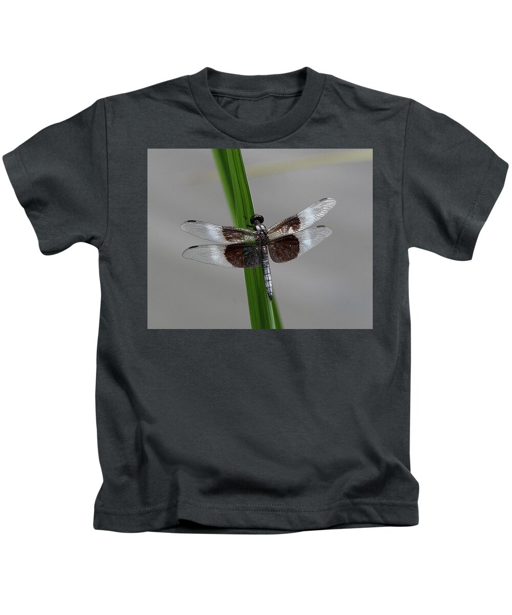 Dragon Fly Kids T-Shirt featuring the photograph Dragon Fly by Jerry Battle