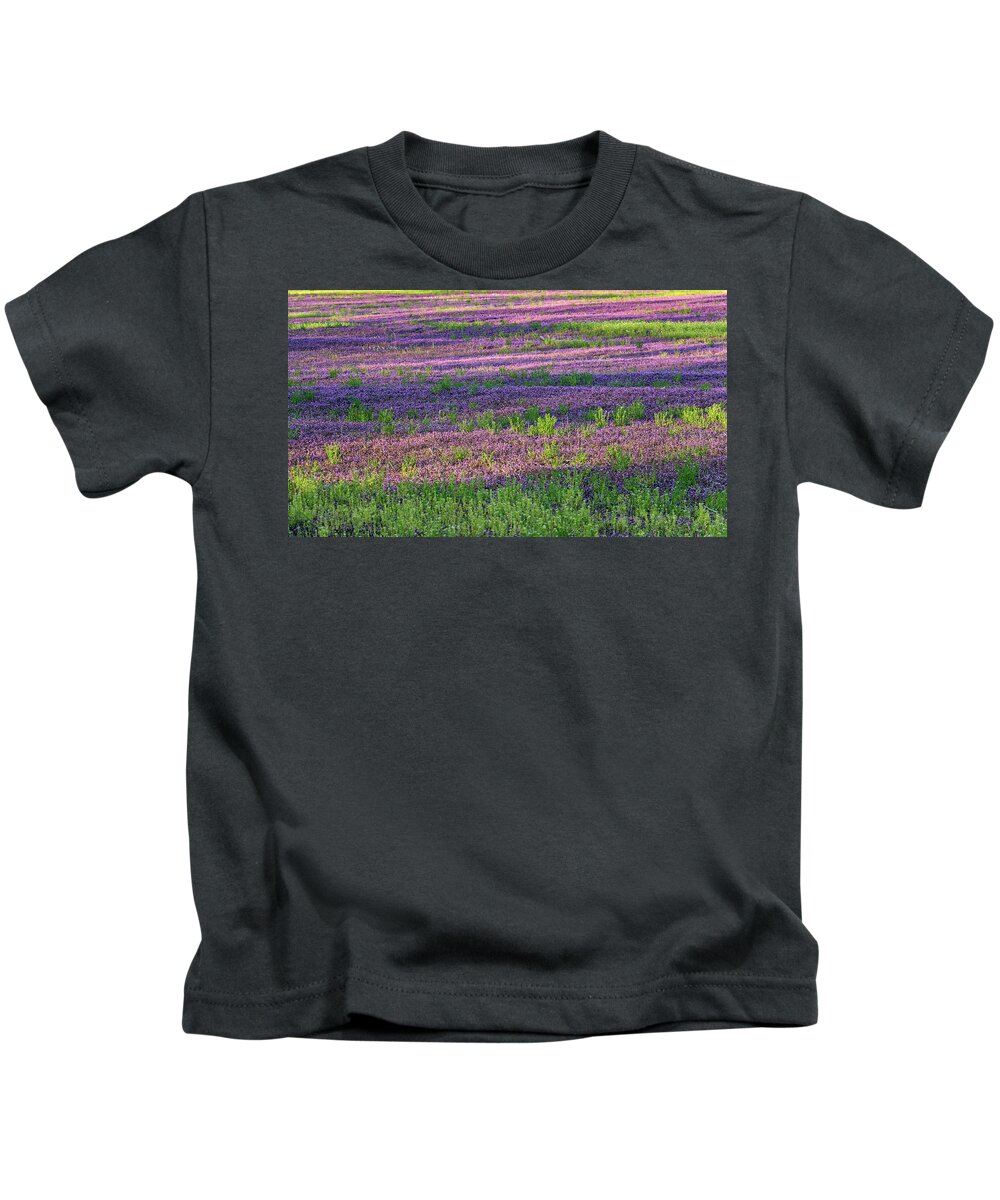 Spring Kids T-Shirt featuring the photograph Dreaming of France by Holly Ross