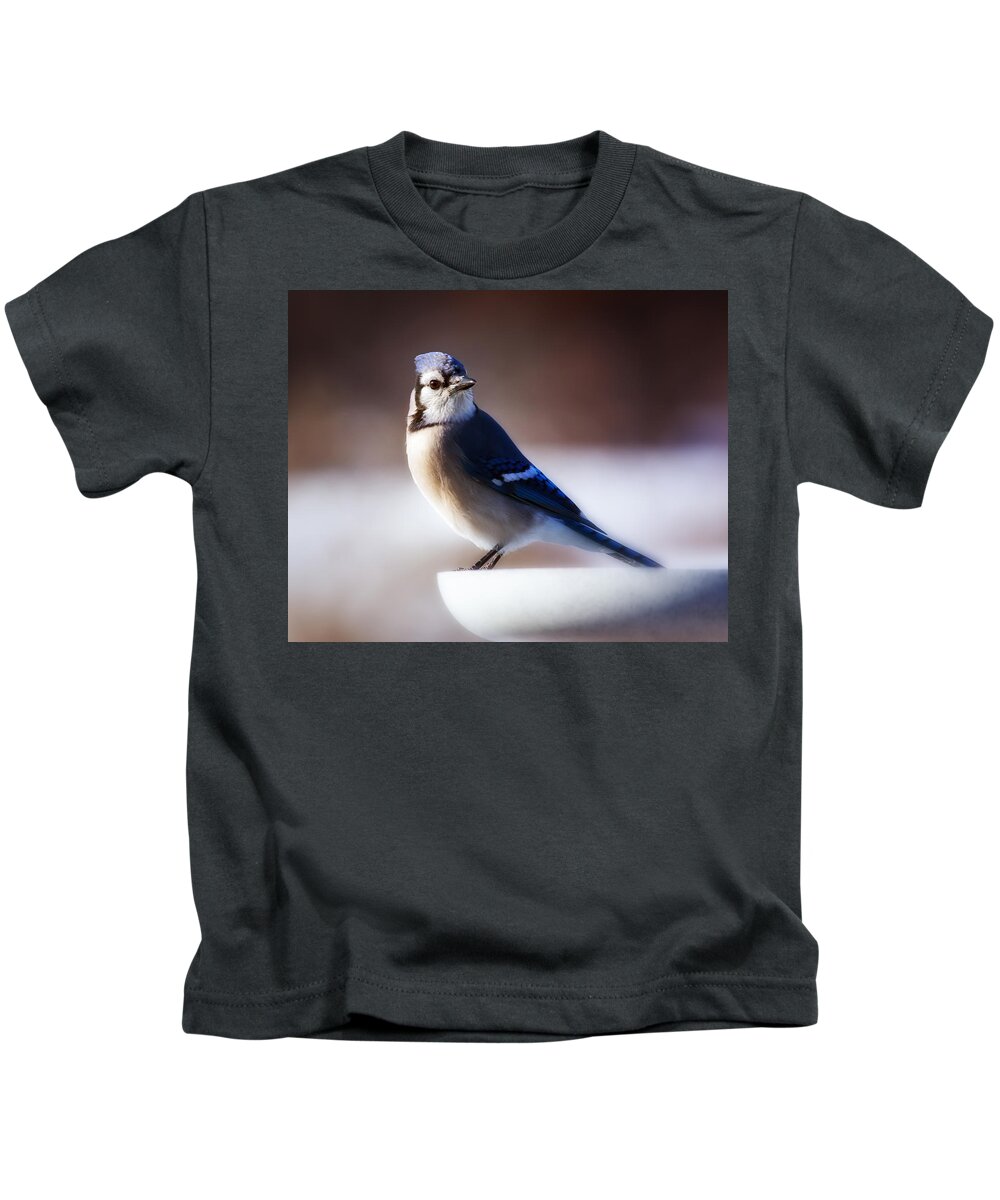 Bird Kids T-Shirt featuring the photograph Dreamy Blue Jay by Al Mueller