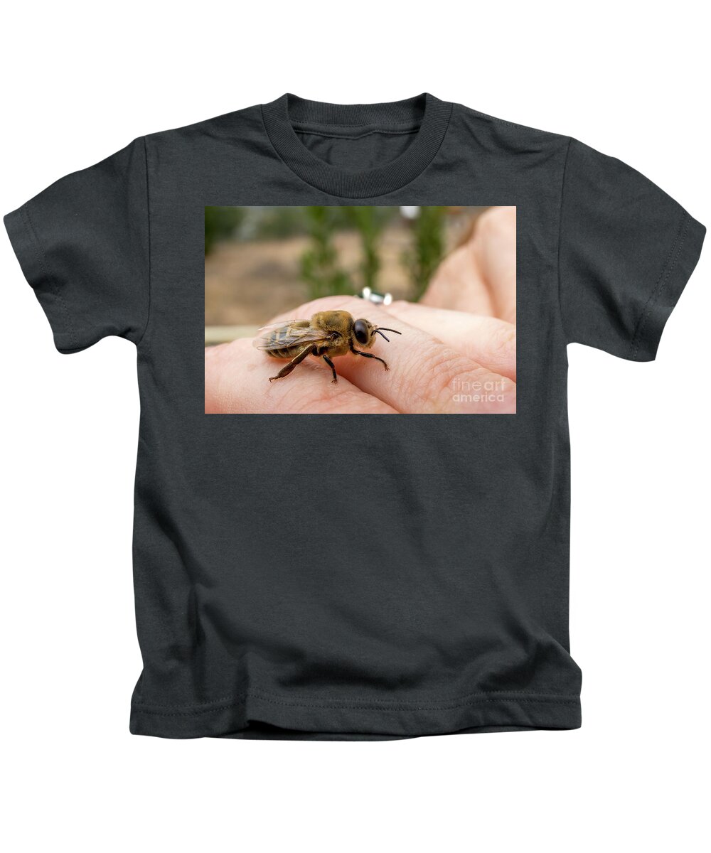 Apis Kids T-Shirt featuring the photograph Drone on the loose by Shawn Jeffries