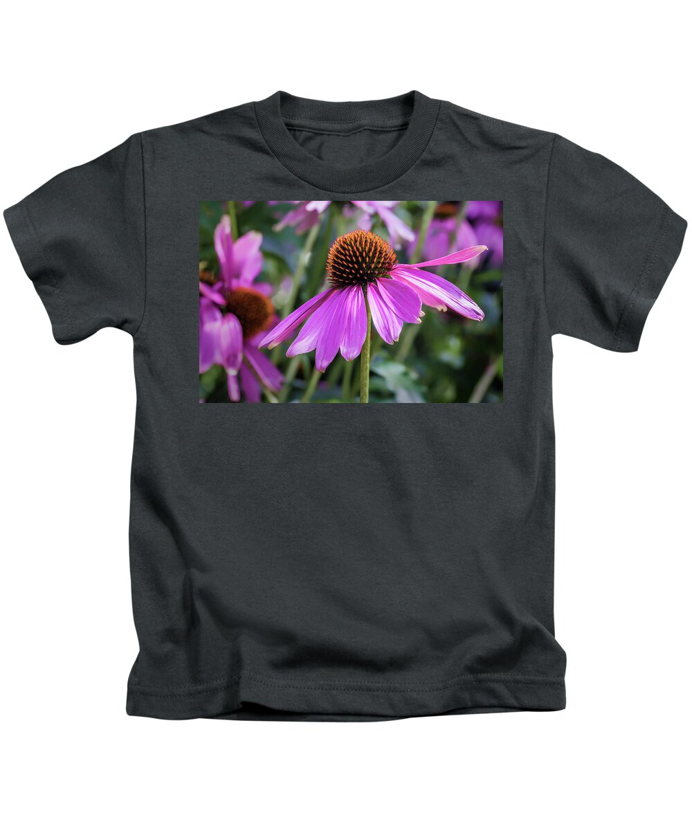Asteraceae Kids T-Shirt featuring the photograph Eastern Purple Coneflower by Tim Abeln