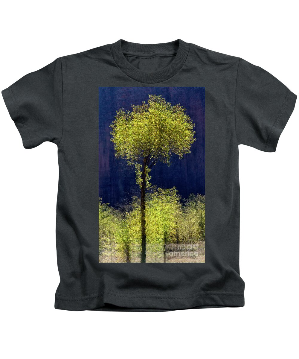 Cottonwood Tree Kids T-Shirt featuring the photograph Elegance in the Park Vertical Adventure Photography By Kaylyn Franks by Kaylyn Franks