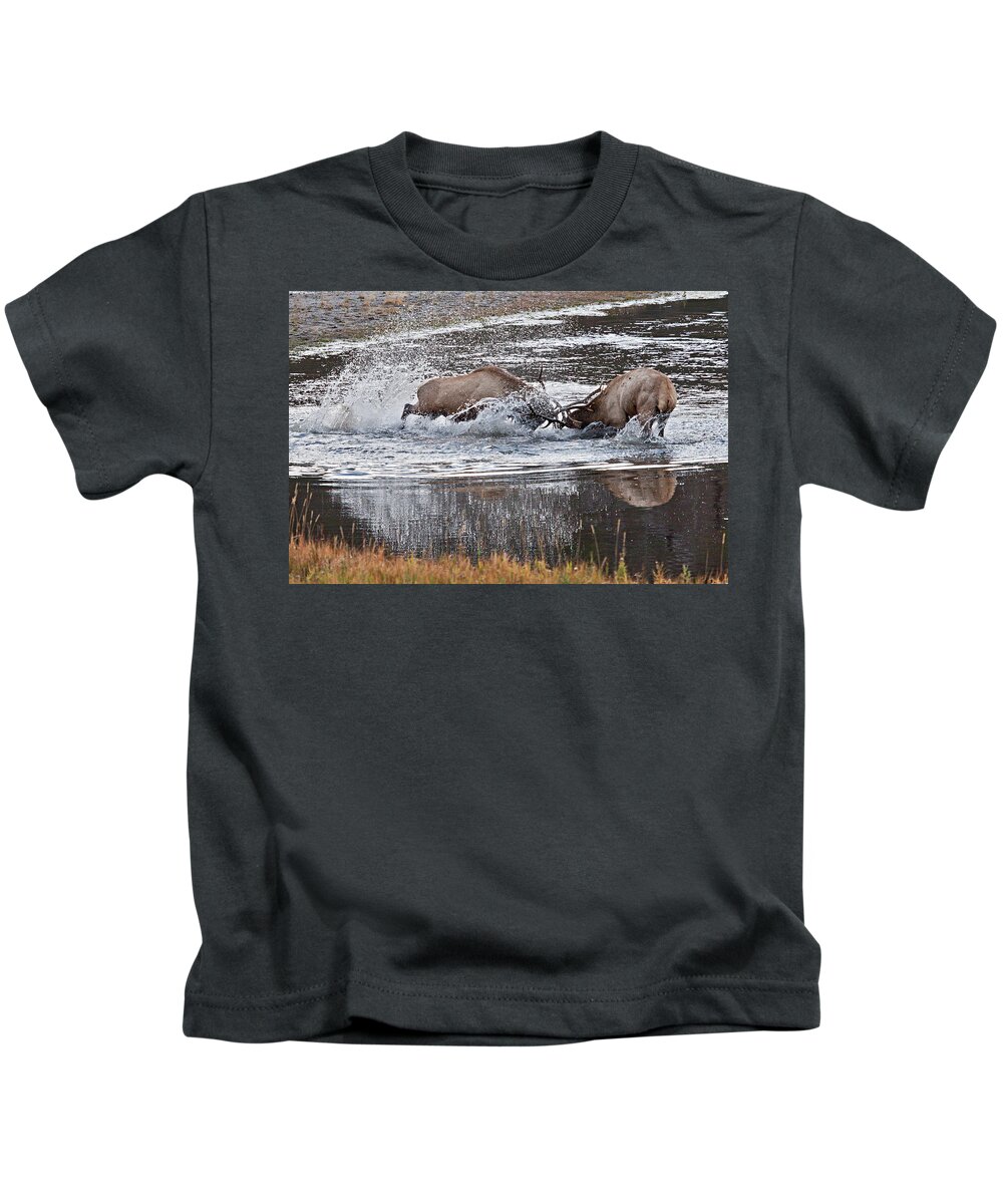 Elk Kids T-Shirt featuring the photograph Elk Fight by Wesley Aston