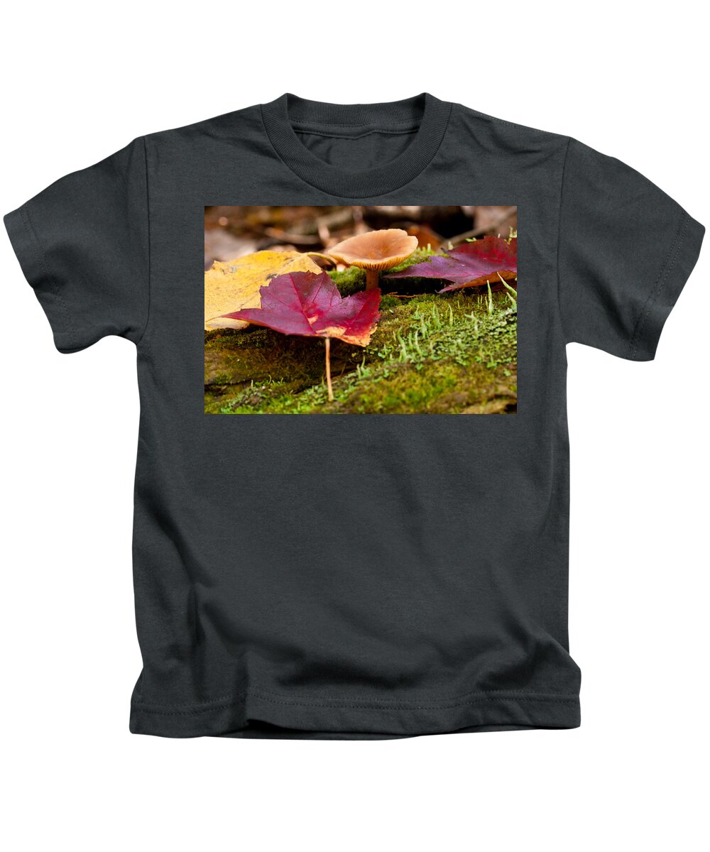 Leaf Kids T-Shirt featuring the photograph Fallen Leaves and Mushrooms by Brent L Ander