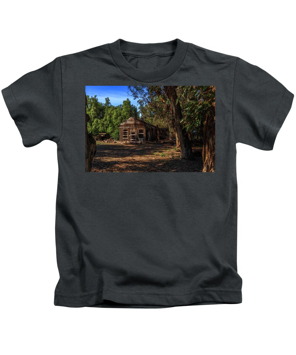 Birds Landing Kids T-Shirt featuring the photograph Falling Old Building by Bruce Bottomley