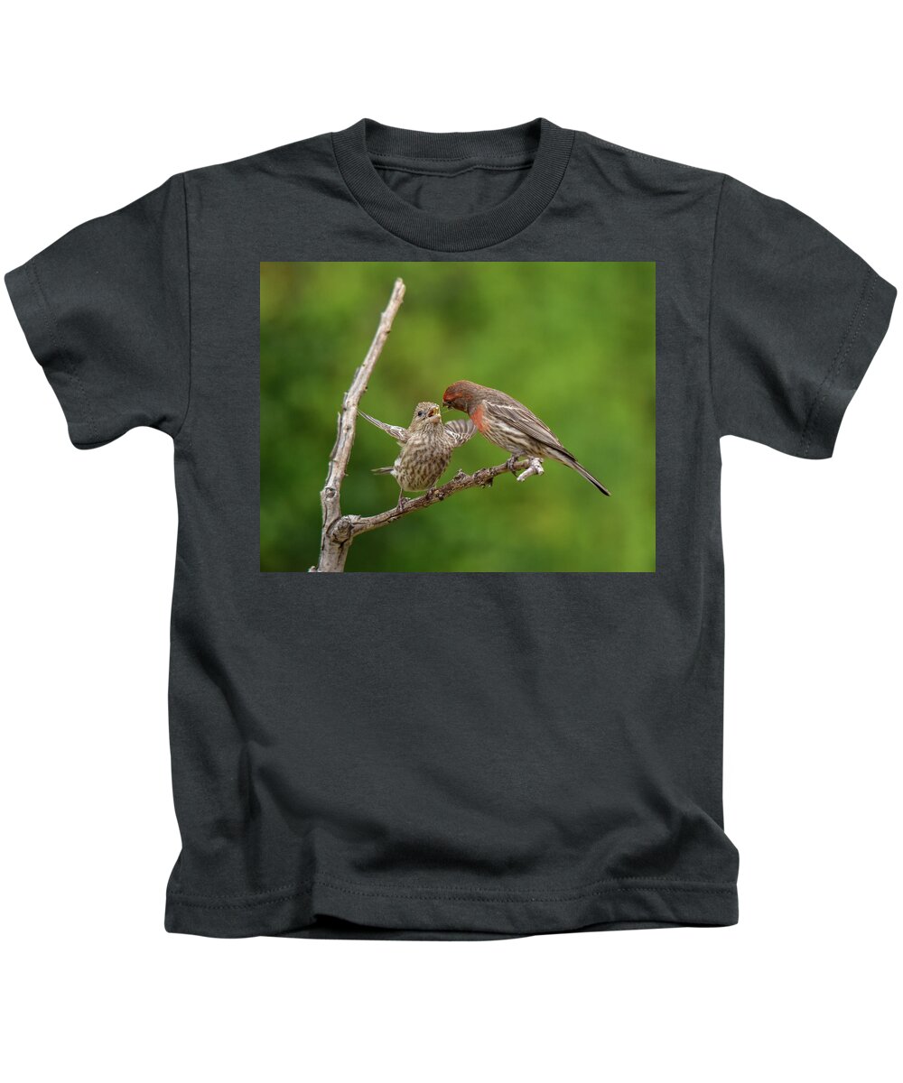 Linda Brody Kids T-Shirt featuring the photograph Finch Feeding Time I by Linda Brody