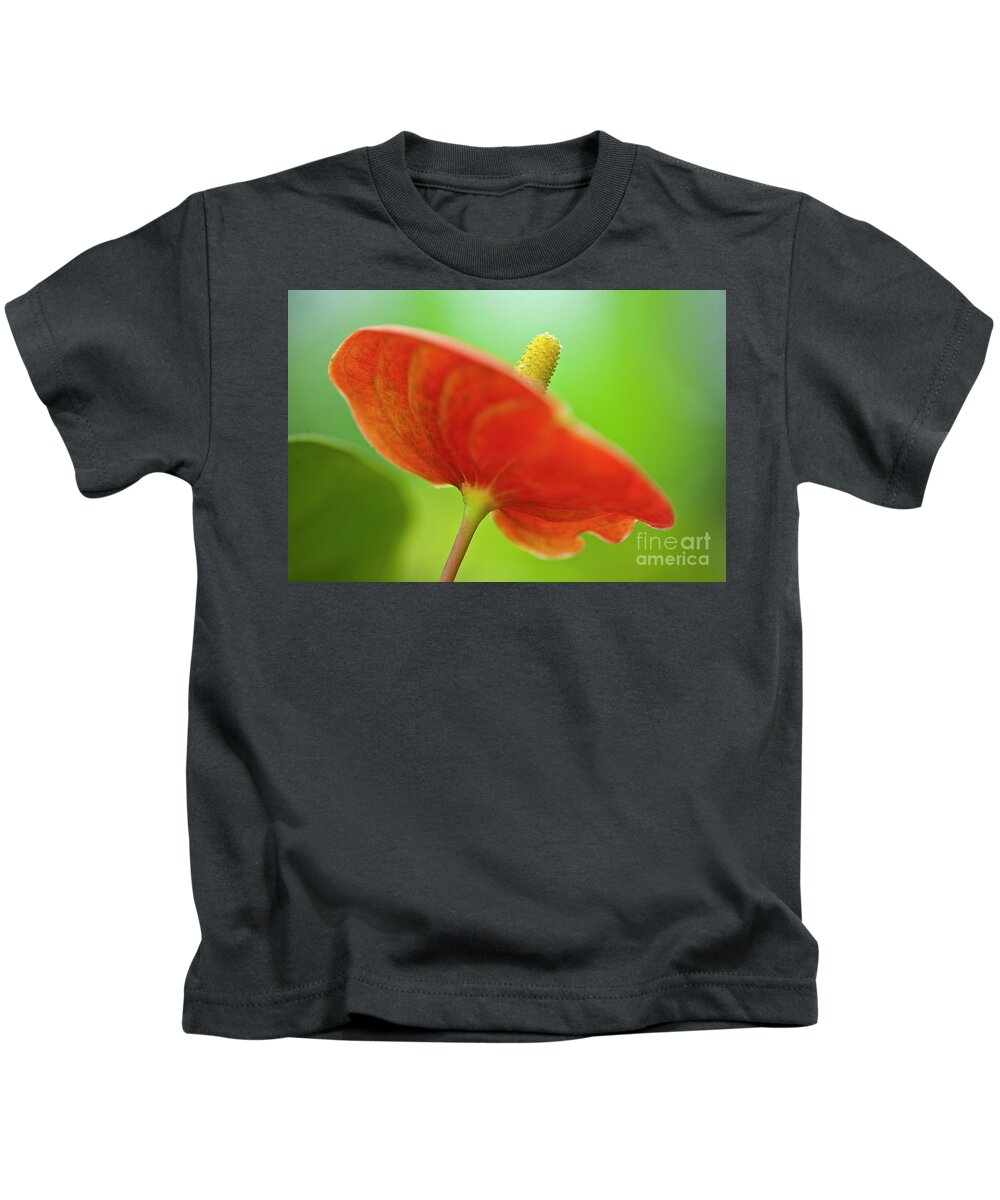 Anthurie Kids T-Shirt featuring the photograph Flamingo Flower 2 by Heiko Koehrer-Wagner