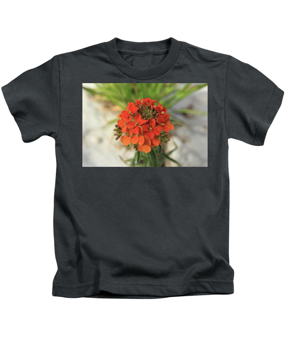 Wildflower Kids T-Shirt featuring the photograph Flor Silvestre by David Diaz