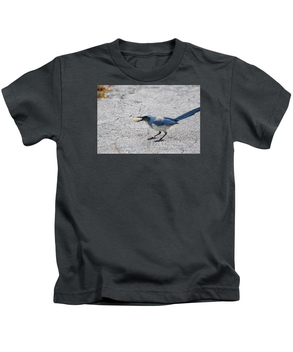 Scrub Jay Kids T-Shirt featuring the photograph Florida Scrub Jay by Dart Humeston