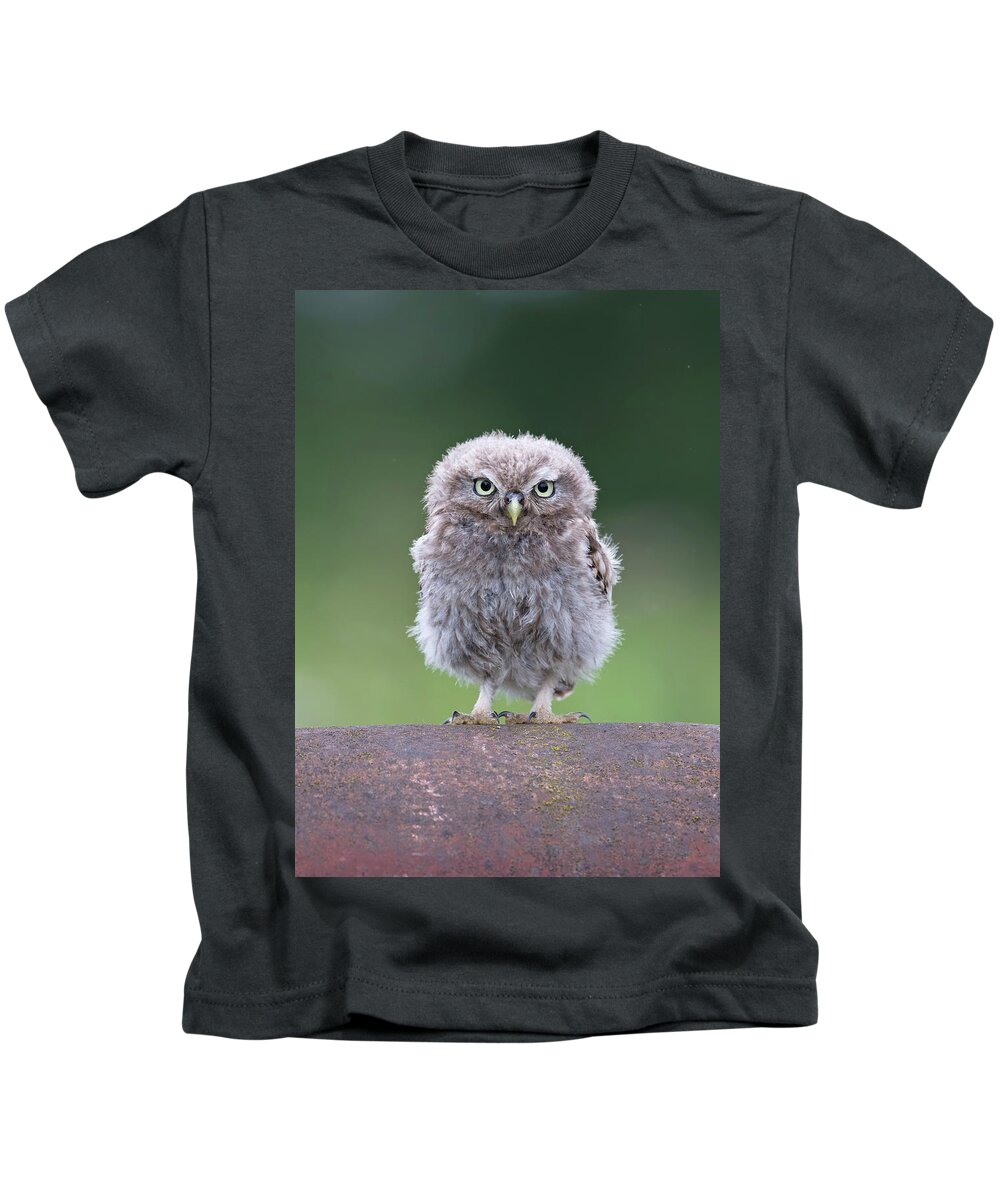 Little Kids T-Shirt featuring the photograph Fluffy Little Owl Owlet by Pete Walkden