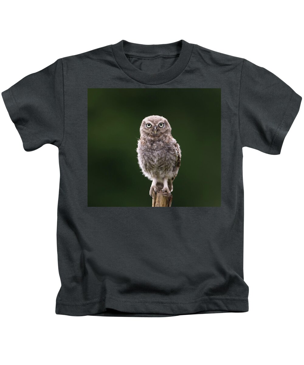 Little Owl Kids T-Shirt featuring the photograph Fluffy McFluff-Face by Pete Walkden