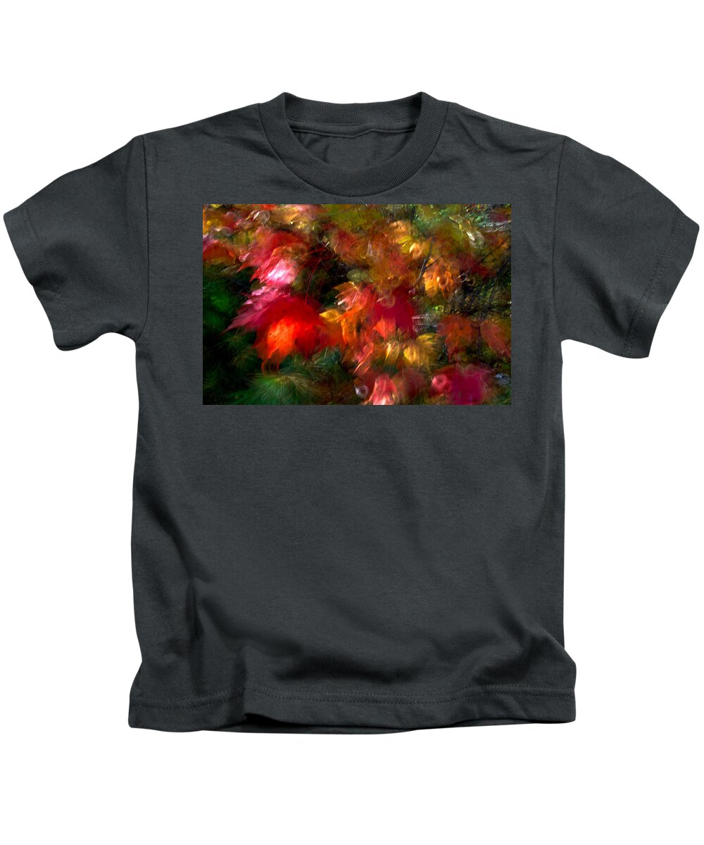 Canada Kids T-Shirt featuring the photograph Flury by Doug Gibbons