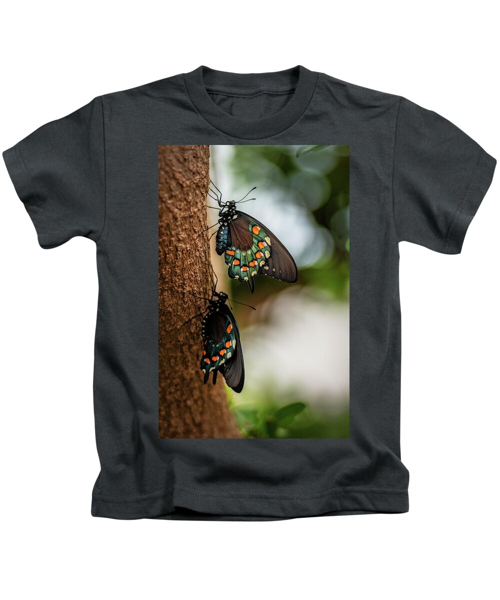 Butterfly Kids T-Shirt featuring the photograph Follow the Leader by Cindy Lark Hartman