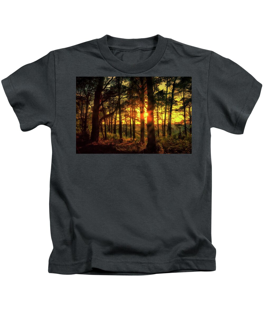 Landscape Kids T-Shirt featuring the photograph Forest Sunset by Chris Boulton