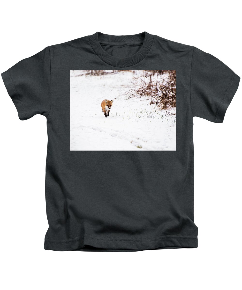 Animals Kids T-Shirt featuring the photograph Fox 2 by Paul Ross