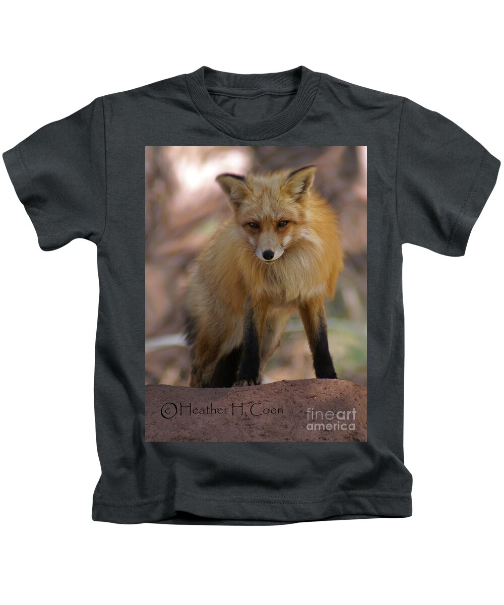 Fox Kids T-Shirt featuring the photograph Fox by Heather Coen