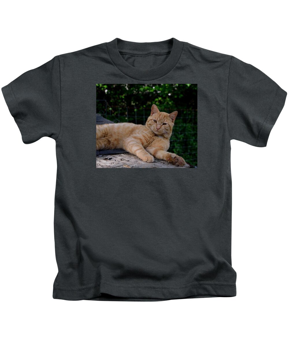 Cat Kids T-Shirt featuring the photograph Franklin by Karen Harrison Brown