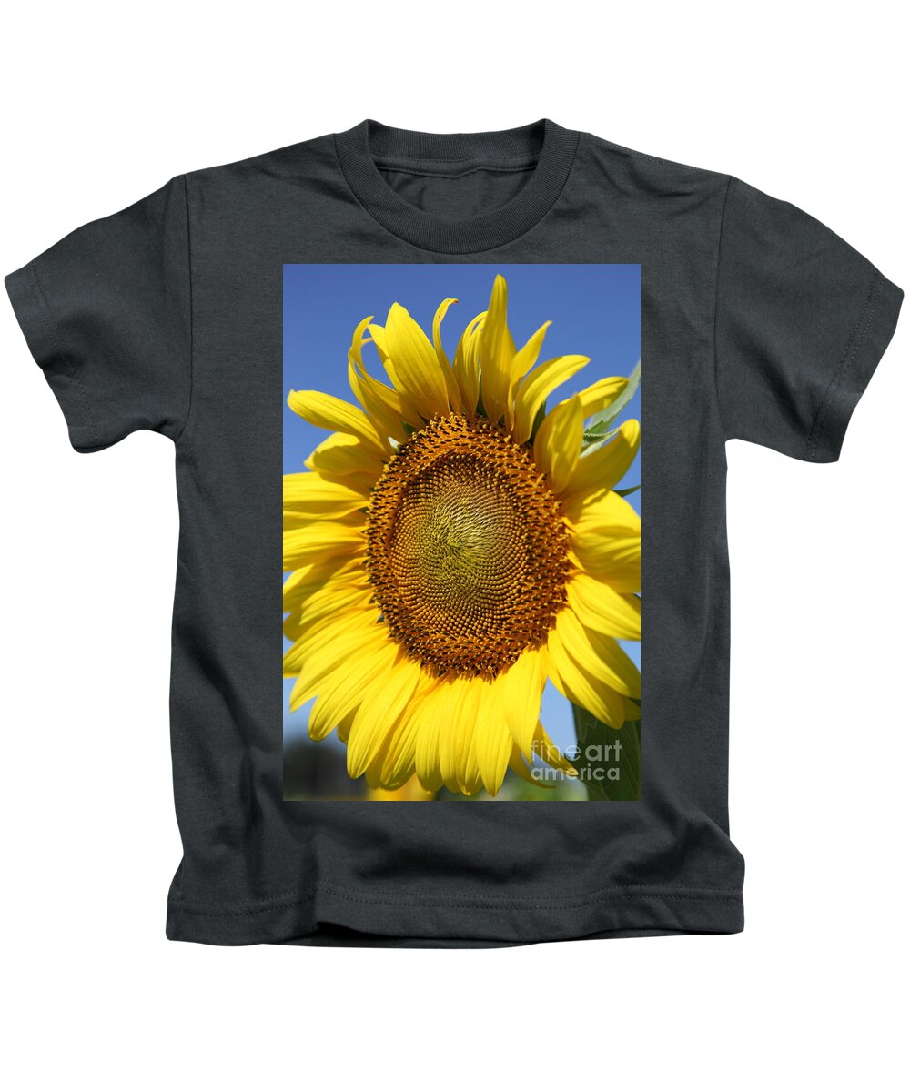 Sunflowers Kids T-Shirt featuring the photograph Full by Amanda Barcon