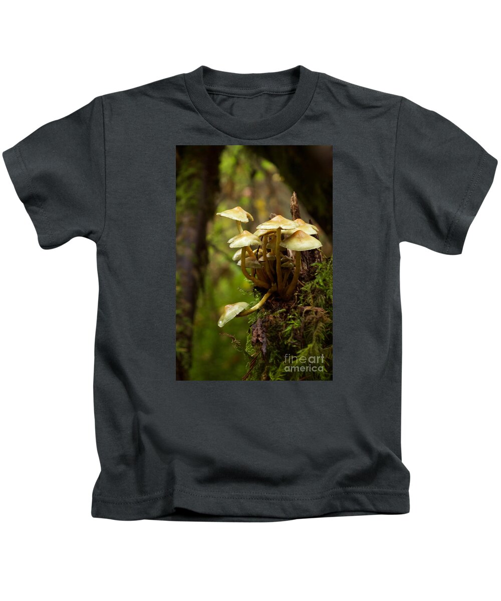 Photography Kids T-Shirt featuring the photograph Fungal Blooms by Sean Griffin