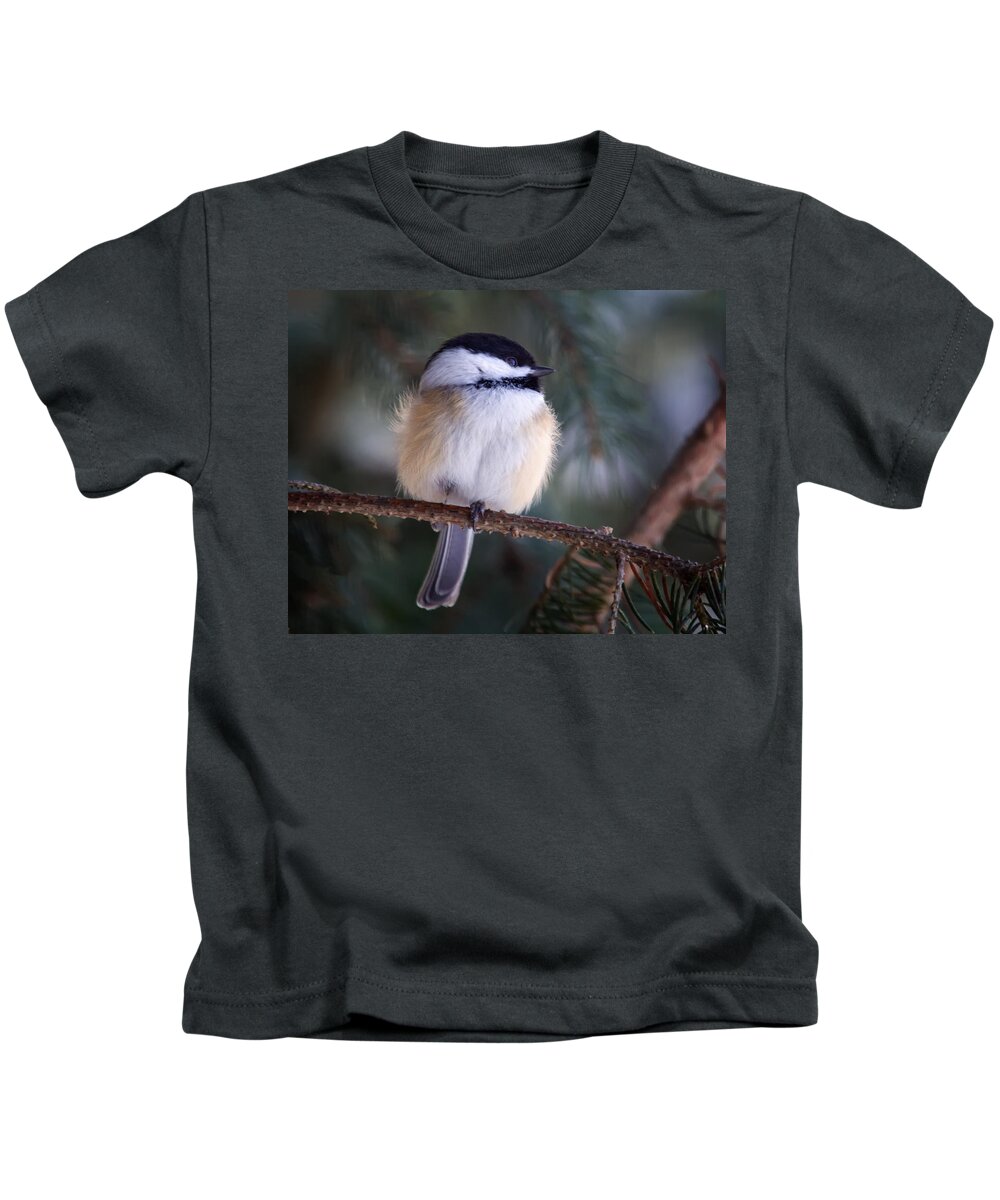Birds Kids T-Shirt featuring the photograph Fuzzy Chickadee by Al Mueller