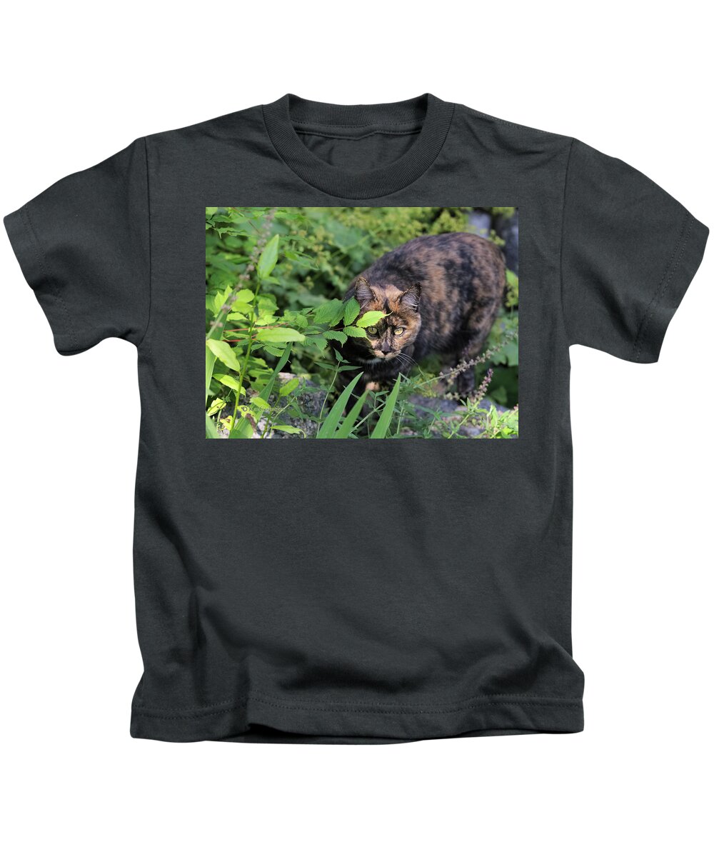 Cat Kids T-Shirt featuring the photograph Garden Cat on the Hunt by Kae Cheatham