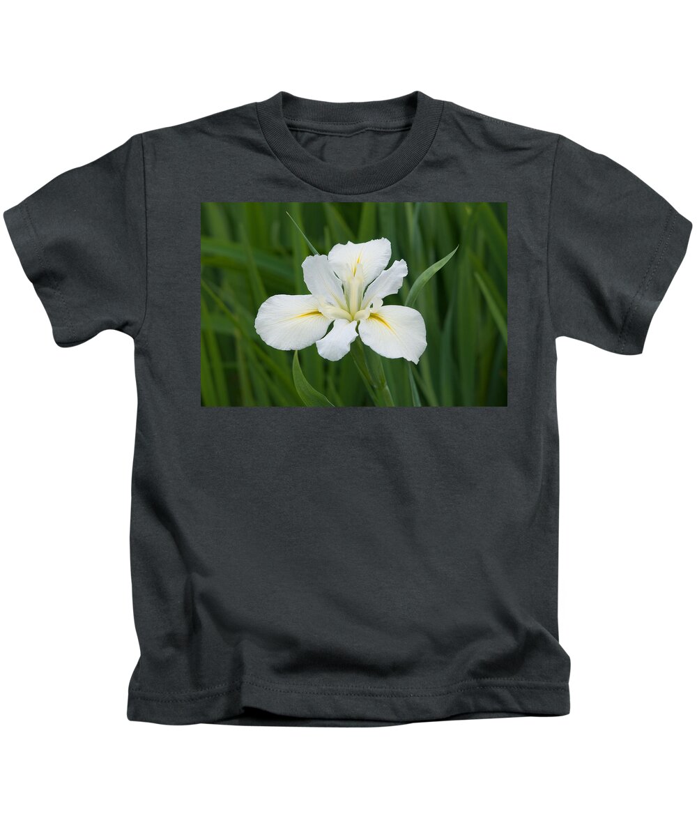 2015 Kids T-Shirt featuring the photograph Garden Iris - 7330 by David R Mann