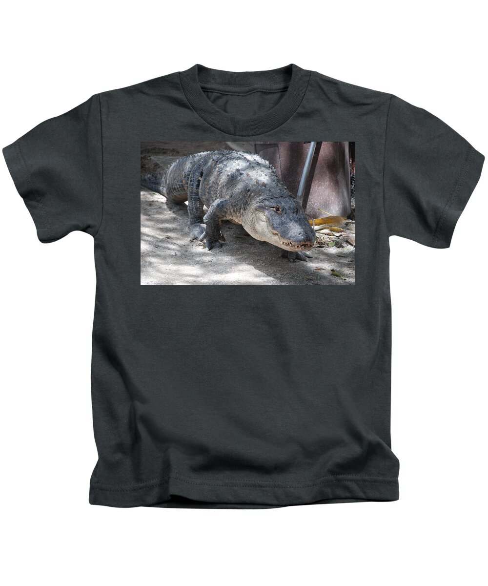 Alligator Kids T-Shirt featuring the photograph Gator On The Move by Rob Hans