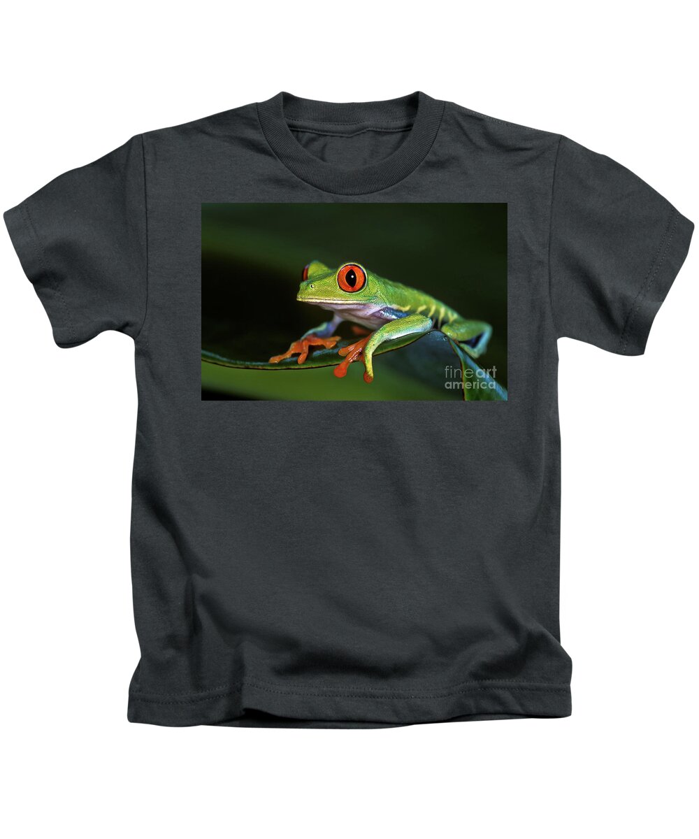 Costa Rica Kids T-Shirt featuring the photograph Gaudy Leaf Frog - Costa Rica by Henk Meijer Photography
